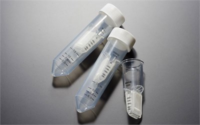 Фильтры центрифужные (пробирки фильтрационные), 50 мл, MWCO 10 KD, Jet Bio-Filtration (Китай), FTT410500 FTT410500 - фото 6725