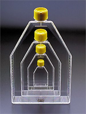 Флаконы (матрасы) культуральные, 300 см2 (1360 мл), скошенное горло, крышка с гидрофобным фильтром 0,22 мкм, PS, стерильные 90301