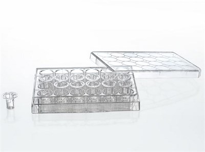 Вставки культуральные для 24-луночных планшетов, диаметр 6,5 мм, размер пор 0,4 мкм ( PC мембрана), стерильные, в планшете, Jet Bio-Filtration (Китай) TCS021024