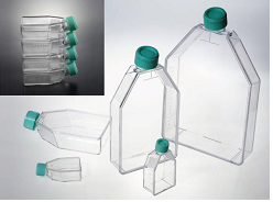 Флакон (матрас) культуральный с обработанной поверхностью CellATTACH, 182 см², крышка-фильтр, стерильный, PS, Jet Bio-Filtration (Китай) CAF012600