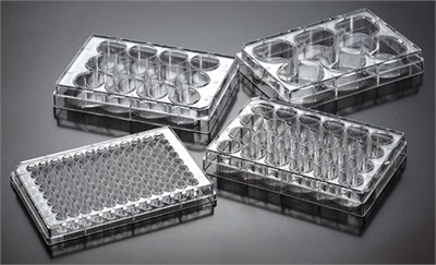 Планшет культуральный 12 лунок, обработанная поверхность CellATTACH, плоское дно, стерильный, с крышкой, PS, Jet Bio-Filtration (Китай) CAP011012