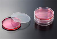 Чашки Петри, диаметр 90 мм, для микробиологии, с крышкой, стерильные, вентилируемые, Jet Bio-Filtration (Китай) MCD000090